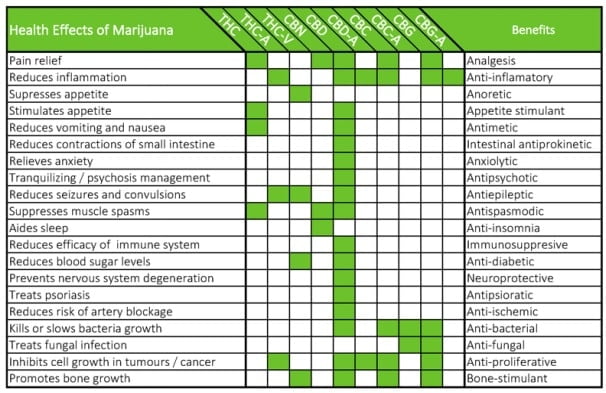 health effects of Marijuana