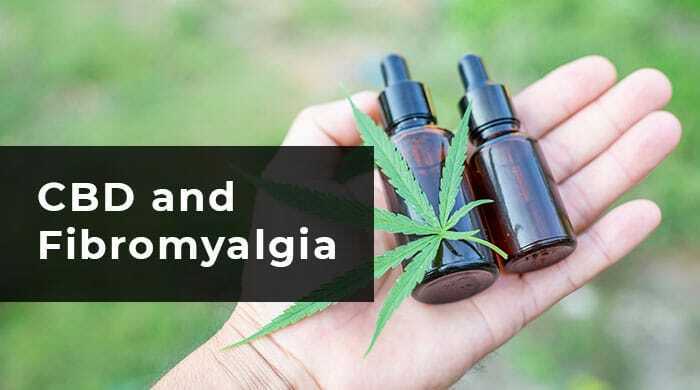 CBD and Fibromyalgia