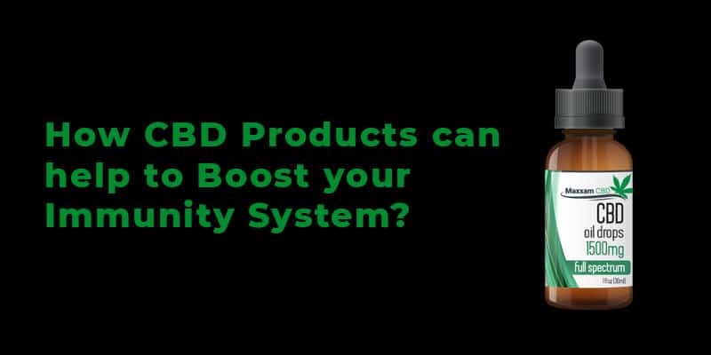 How can CBD Products help to Boost your Immunity System? How can CBD Products help to Boost your Immunity System?
